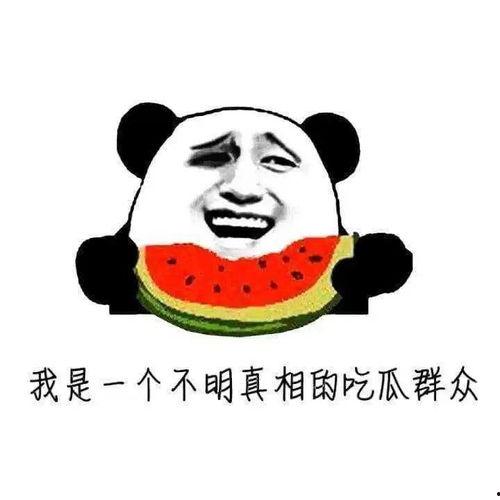 一个看热闹的吃瓜群众,吃瓜群众眼中的热闹瞬间