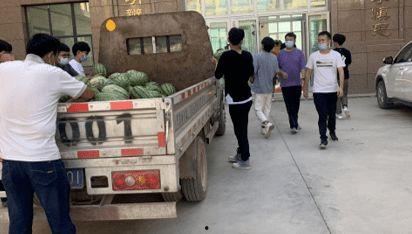 泊头吃瓜群众新闻事件,揭秘网络舆论背后的真相