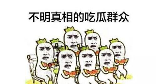 一个吃瓜的围观群众,揭秘娱乐圈幕后风云