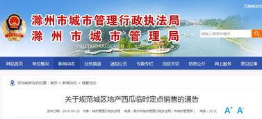 滁州市吃瓜群众,吃瓜群众的热议焦点