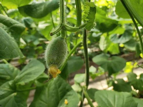 吃瓜群众快回来,揭秘娱乐圈最新动态