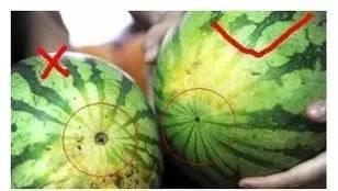 老北京吃瓜群众的散文,老北京吃瓜群众的市井烟火