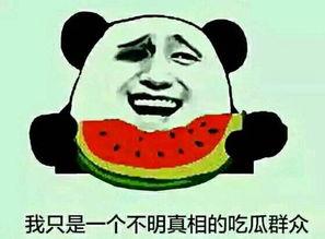 关注吃瓜群众问题,网络舆论场中的围观力量