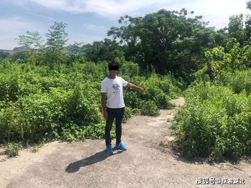 吃瓜群众被拘留了吗,真相与反思