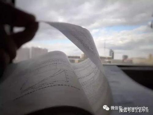 吃瓜群众岱宗岱 微博,吃瓜群众视角下的微博风云