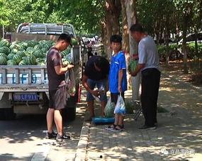 巴州吃瓜群众事件视频曝光,视频曝光揭示惊人真相