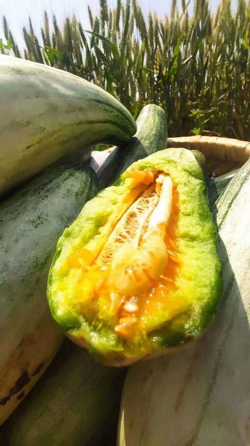 安静吃瓜群众2019,安静吃瓜群众的年度观察与思考