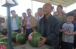 博山吃瓜群众孙大爷事件,一场引发社会关注的网络风波