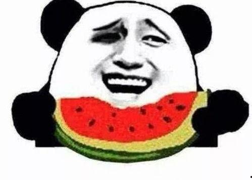 遛弯成了吃瓜群众,见证城市生活百态