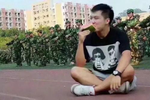 520吃瓜群众训练