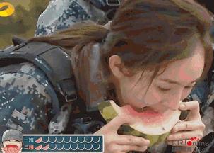 心机男变成吃瓜群众,变身吃瓜群众，揭秘娱乐圈幕后风云