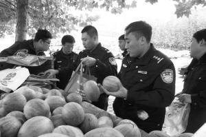 吃瓜群众公安局,吃瓜群众视角下的公安局风云录