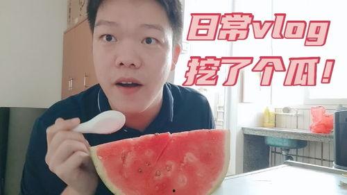 vlog日常吃瓜群众,揭秘日常生活中的趣味事件