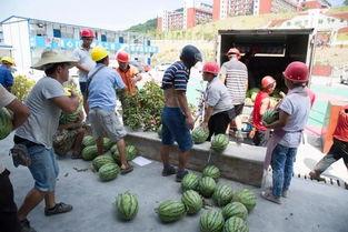 金安区吃瓜群众案件最新进展