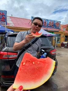 映像内蒙古吃瓜群众,吃瓜群众的欢乐盛宴