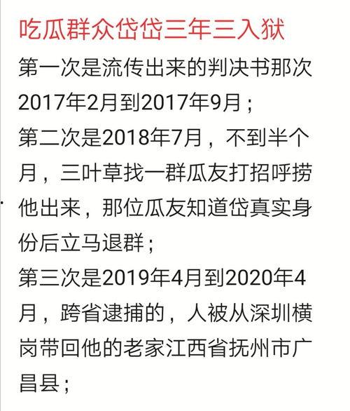 吃瓜群众岱岱全文,揭秘娱乐圈背后的故事