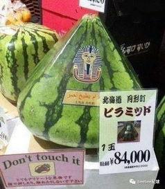 全球吃瓜群众代表,全球吃瓜群众视角下的热点事件盘点