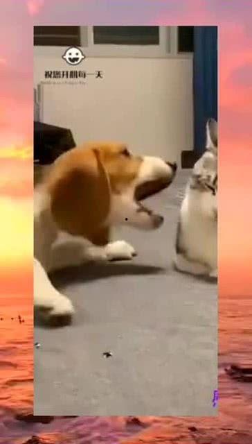 周围吃瓜群众怎么说话,吃瓜群众热议焦点事件