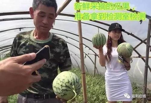 朝阳吃瓜群众直播回放,揭秘幕后花絮与精彩瞬间