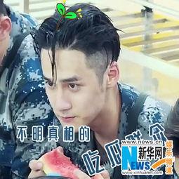 霆锋最帅吃瓜群众是谁啊,谁是幕后推手？