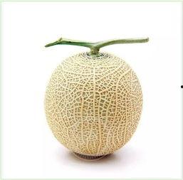 吃瓜群众乐事,揭秘娱乐圈幕后趣闻