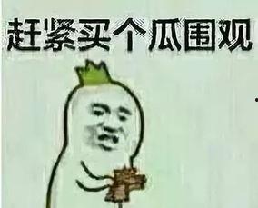 山沟里的吃瓜群众是谁,他们眼中的乡村生活