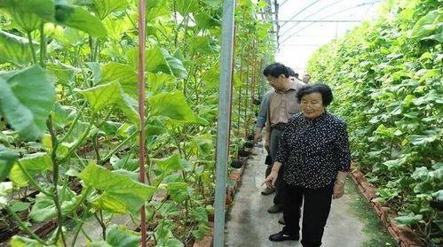 昆艺院吃瓜群众是真的吗,昆艺院“吃瓜群众”传闻真相揭秘