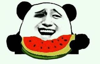 吃瓜群众视频怎么画的呢,轻松绘制趣味形象