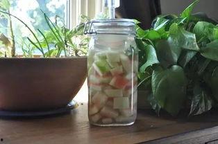 吃瓜群众扔白菜,一场网络奇观背后的社会现象解析