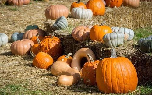 泉州吃瓜的群众,吃瓜群众的热议焦点