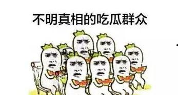第二排的吃瓜群众,揭秘现场众生相