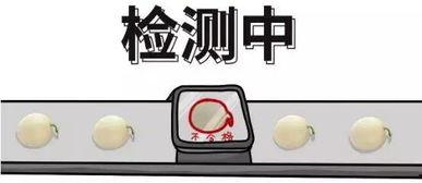 吃瓜群众如何处理,如何巧妙处理八卦信息