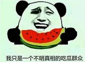 吃瓜一线群众网名,吃瓜群众视角下的娱乐圈风云录